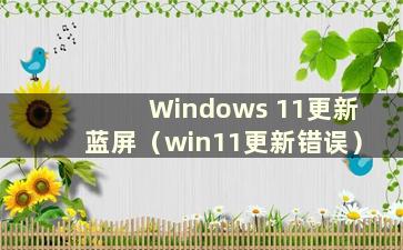 Windows 11更新蓝屏（win11更新错误）